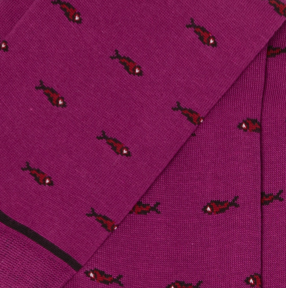 CALZINI ARTURO E LE SARDINE - BAROLO