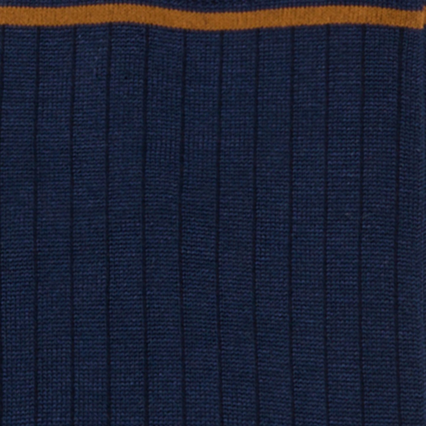 Dettagli dei calzini a costine blu da uomo di Arturo Stories