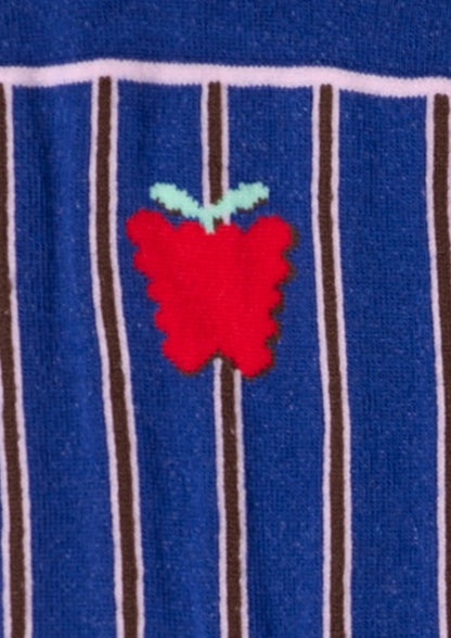 Dettaglio dei calzini a righe bluette da donna di Arturo Stories. Con righe verticali rosa e bordeaux, disegno di un frutto, punta e tallone blu, profilo rosa.