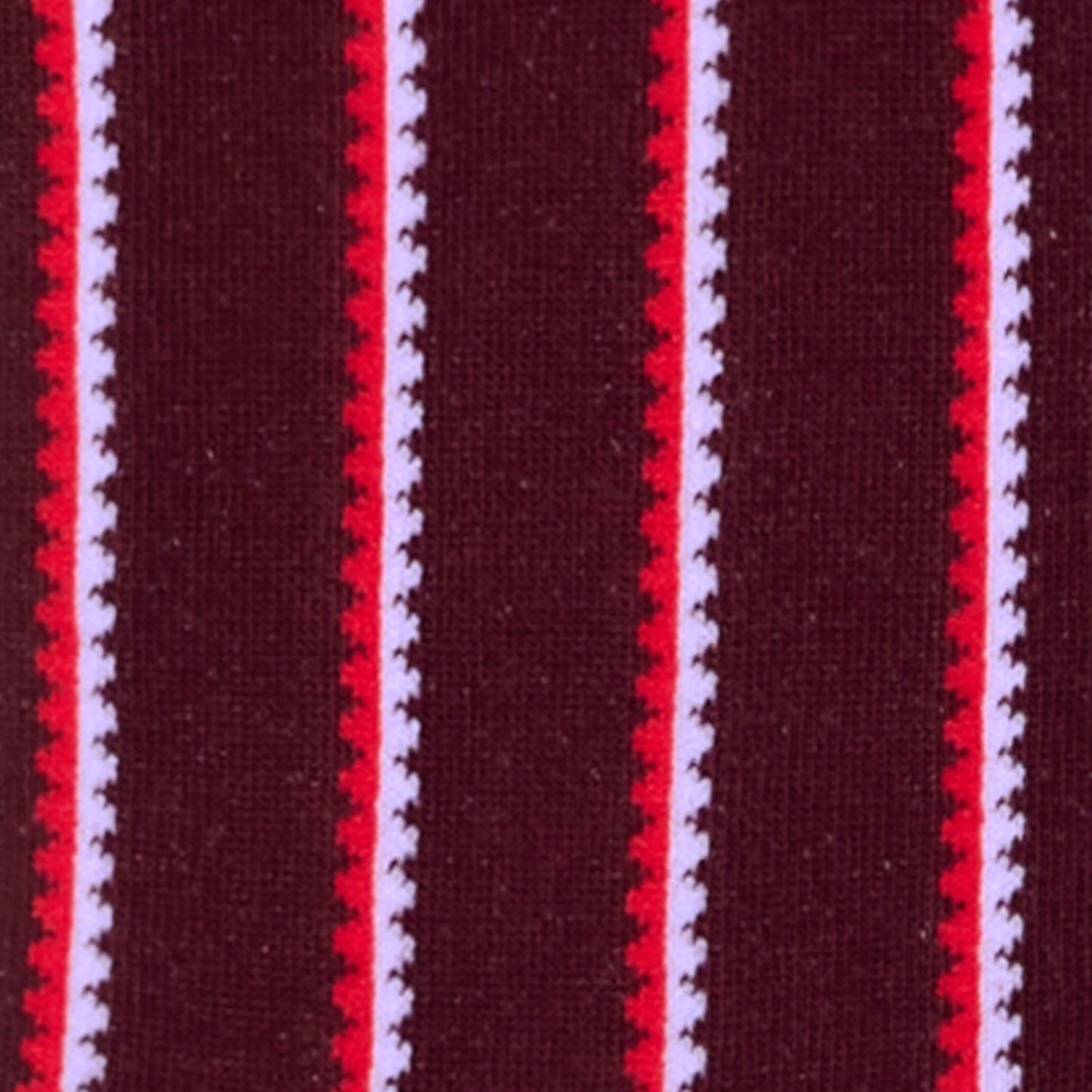Dettaglio dei calzini a righe smerlate verticali bordeaux da donna di Arturo Stories. 
