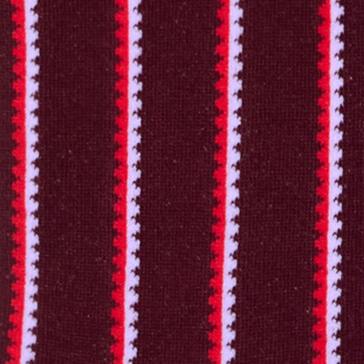 Dettaglio dei calzini a righe smerlate verticali bordeaux da donna di Arturo Stories. 