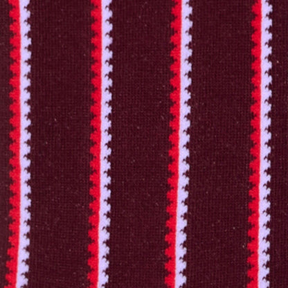 Dettaglio dei calzini a righe smerlate verticali bordeaux da donna di Arturo Stories. 